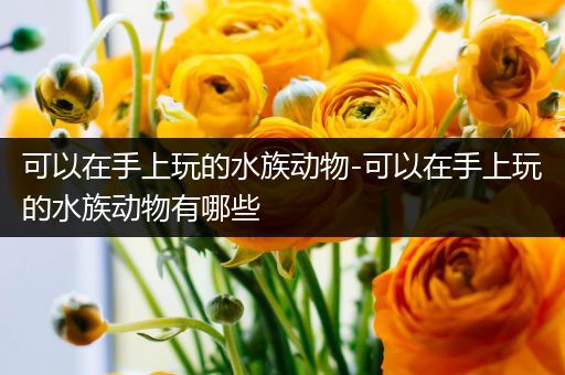 可以在手上玩的水族动物-可以在手上玩的水族动物有哪些