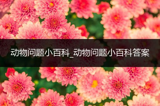 动物问题小百科_动物问题小百科答案