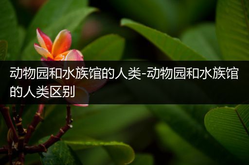 动物园和水族馆的人类-动物园和水族馆的人类区别