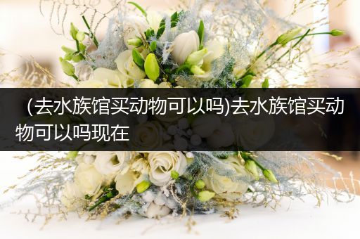 （去水族馆买动物可以吗)去水族馆买动物可以吗现在