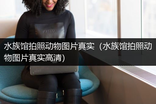 水族馆拍照动物图片真实（水族馆拍照动物图片真实高清）