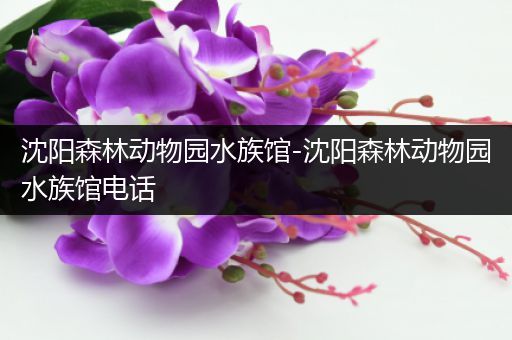 沈阳森林动物园水族馆-沈阳森林动物园水族馆电话