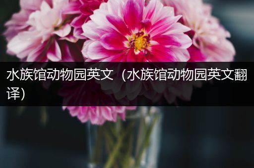 水族馆动物园英文（水族馆动物园英文翻译）