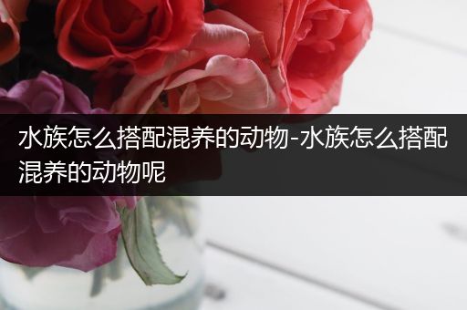 水族怎么搭配混养的动物-水族怎么搭配混养的动物呢