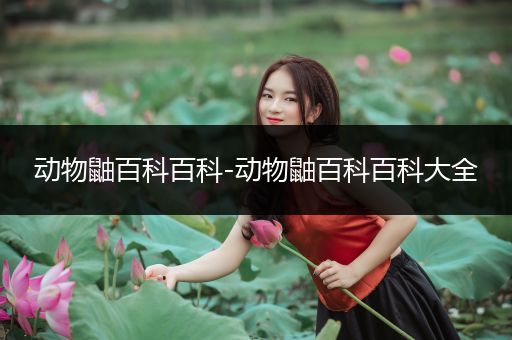 动物鼬百科百科-动物鼬百科百科大全