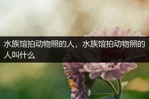 水族馆拍动物照的人，水族馆拍动物照的人叫什么