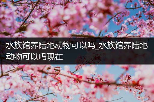 水族馆养陆地动物可以吗_水族馆养陆地动物可以吗现在
