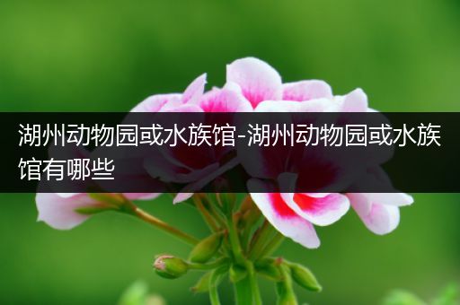 湖州动物园或水族馆-湖州动物园或水族馆有哪些