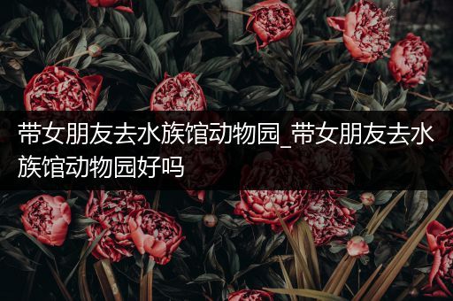 带女朋友去水族馆动物园_带女朋友去水族馆动物园好吗