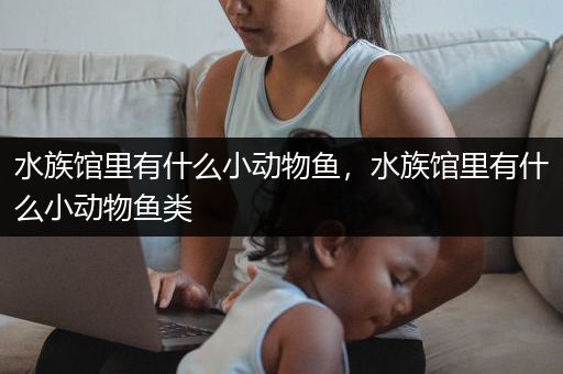 水族馆里有什么小动物鱼，水族馆里有什么小动物鱼类