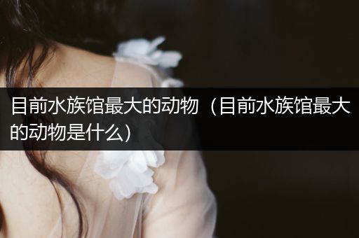目前水族馆最大的动物（目前水族馆最大的动物是什么）