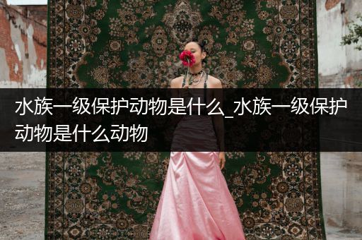 水族一级保护动物是什么_水族一级保护动物是什么动物