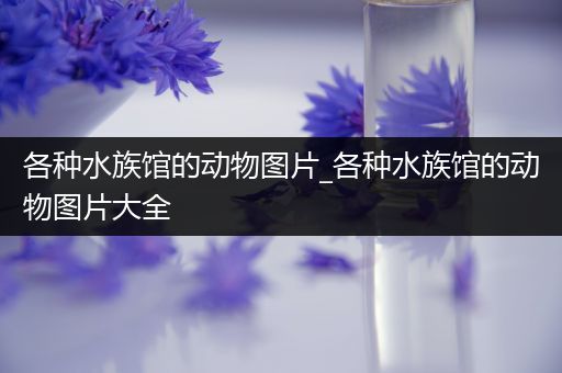 各种水族馆的动物图片_各种水族馆的动物图片大全