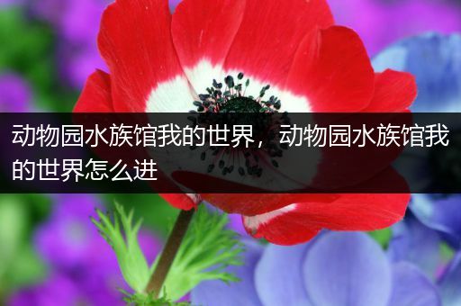 动物园水族馆我的世界，动物园水族馆我的世界怎么进