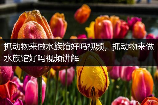 抓动物来做水族馆好吗视频，抓动物来做水族馆好吗视频讲解