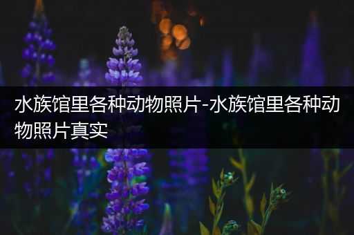 水族馆里各种动物照片-水族馆里各种动物照片真实