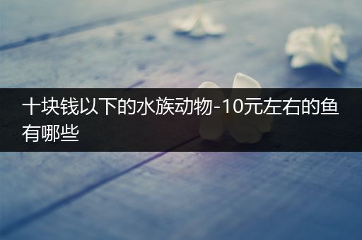 十块钱以下的水族动物-10元左右的鱼有哪些
