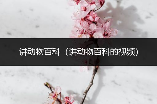 讲动物百科（讲动物百科的视频）