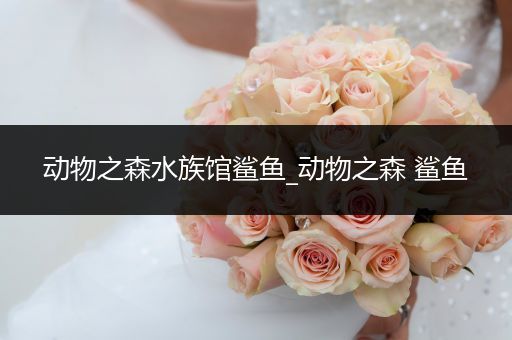 动物之森水族馆鲨鱼_动物之森 鲨鱼