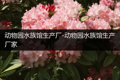 动物园水族馆生产厂-动物园水族馆生产厂家