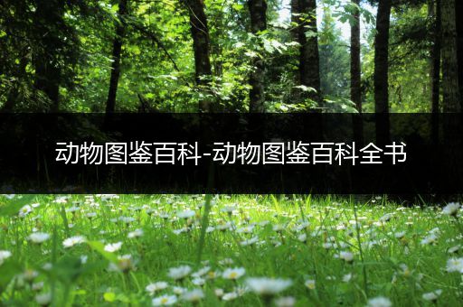 动物图鉴百科-动物图鉴百科全书