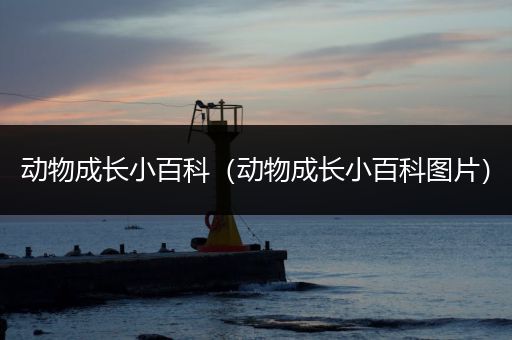 动物成长小百科（动物成长小百科图片）