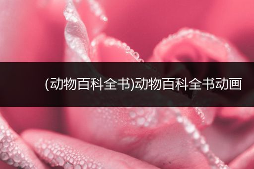 （动物百科全书)动物百科全书动画