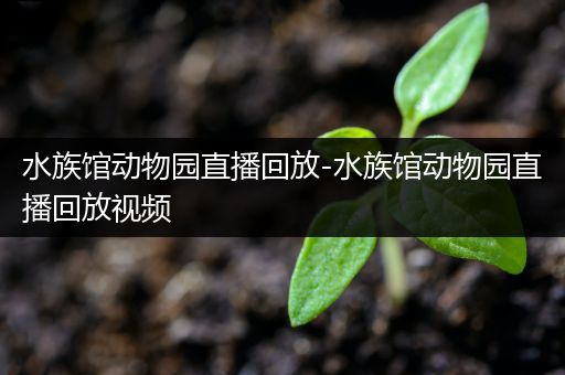 水族馆动物园直播回放-水族馆动物园直播回放视频