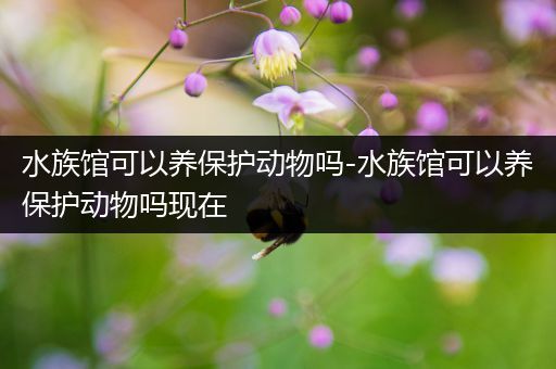 水族馆可以养保护动物吗-水族馆可以养保护动物吗现在