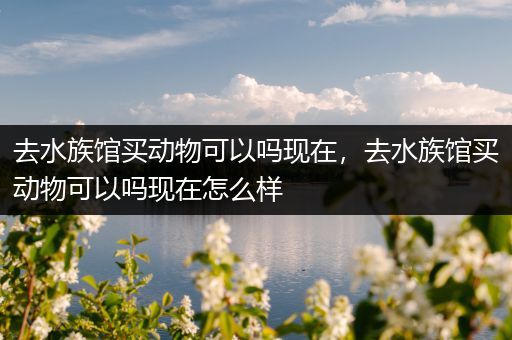 去水族馆买动物可以吗现在，去水族馆买动物可以吗现在怎么样