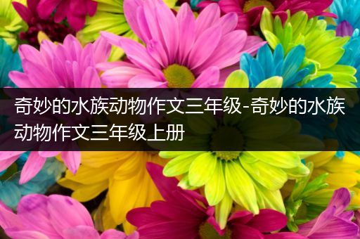 奇妙的水族动物作文三年级-奇妙的水族动物作文三年级上册