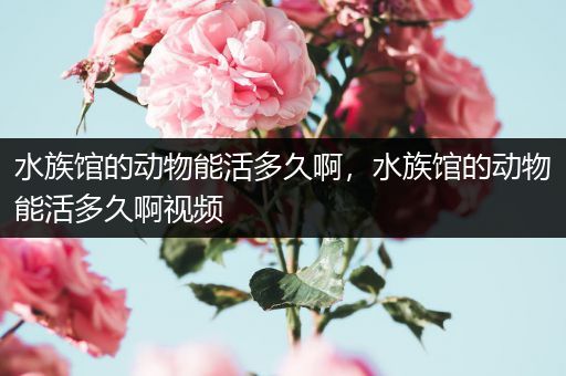 水族馆的动物能活多久啊，水族馆的动物能活多久啊视频