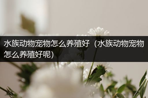 水族动物宠物怎么养殖好（水族动物宠物怎么养殖好呢）