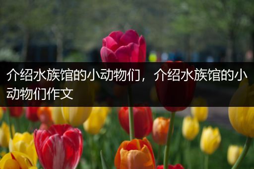 介绍水族馆的小动物们，介绍水族馆的小动物们作文