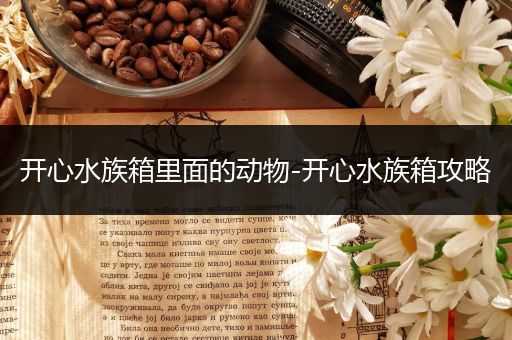 开心水族箱里面的动物-开心水族箱攻略