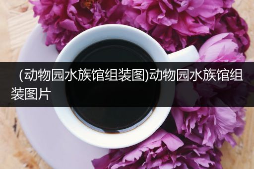 （动物园水族馆组装图)动物园水族馆组装图片