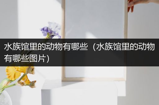 水族馆里的动物有哪些（水族馆里的动物有哪些图片）