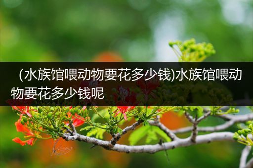 （水族馆喂动物要花多少钱)水族馆喂动物要花多少钱呢