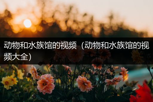 动物和水族馆的视频（动物和水族馆的视频大全）