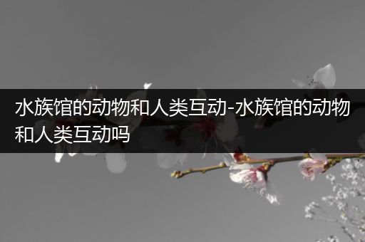 水族馆的动物和人类互动-水族馆的动物和人类互动吗