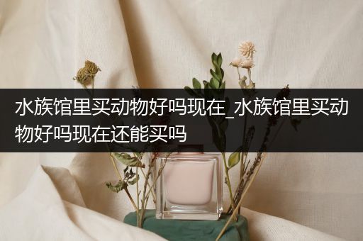 水族馆里买动物好吗现在_水族馆里买动物好吗现在还能买吗