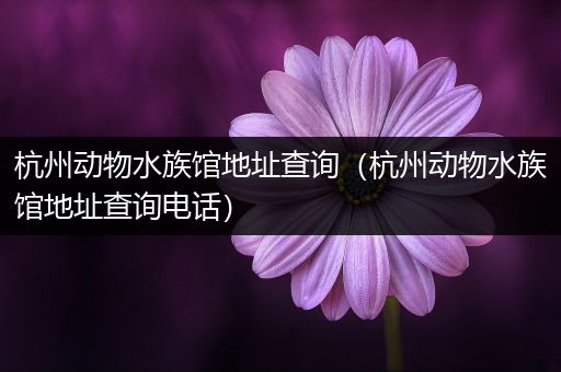 杭州动物水族馆地址查询（杭州动物水族馆地址查询电话）