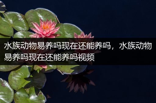 水族动物易养吗现在还能养吗，水族动物易养吗现在还能养吗视频