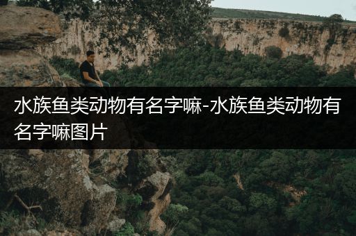 水族鱼类动物有名字嘛-水族鱼类动物有名字嘛图片