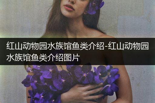 红山动物园水族馆鱼类介绍-红山动物园水族馆鱼类介绍图片