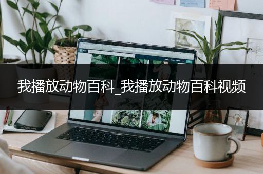 我播放动物百科_我播放动物百科视频