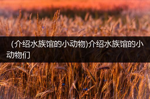（介绍水族馆的小动物)介绍水族馆的小动物们