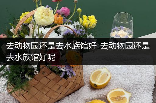 去动物园还是去水族馆好-去动物园还是去水族馆好呢
