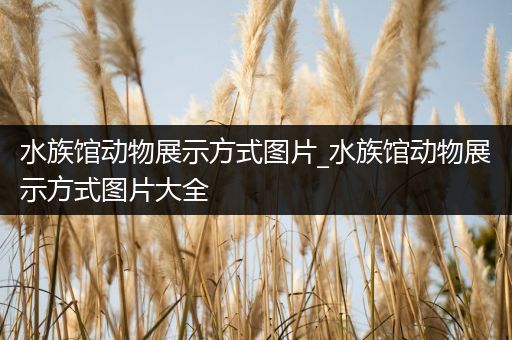 水族馆动物展示方式图片_水族馆动物展示方式图片大全
