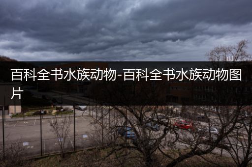 百科全书水族动物-百科全书水族动物图片